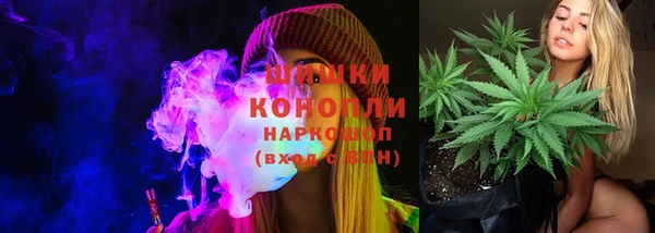 крисы Зерноград