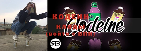 не бодяженный Заводоуковск