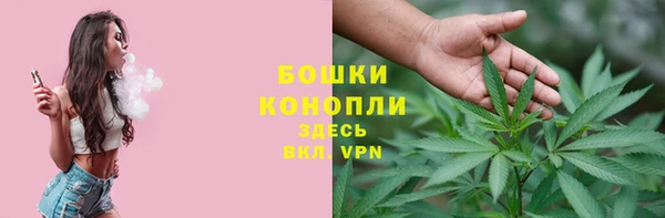 крисы Зерноград