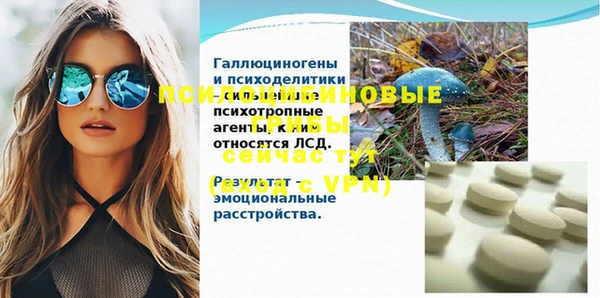 сатива Зеленокумск
