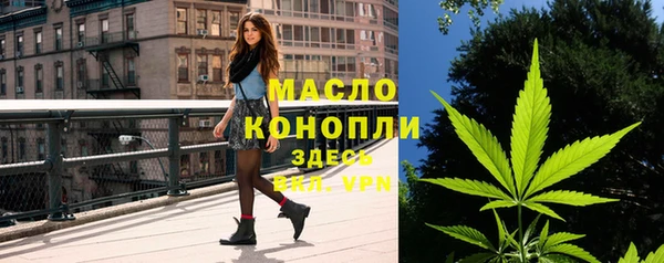 сатива Зеленокумск