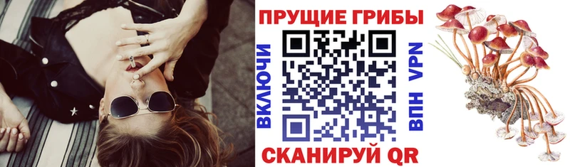 Купить закладки  Краснокамск  Галлюциногенные грибы ЛСД 
